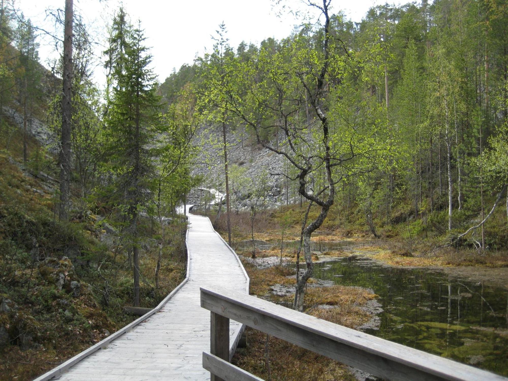 Pyhakirnu Cottage Pyhatunturi Bagian luar foto